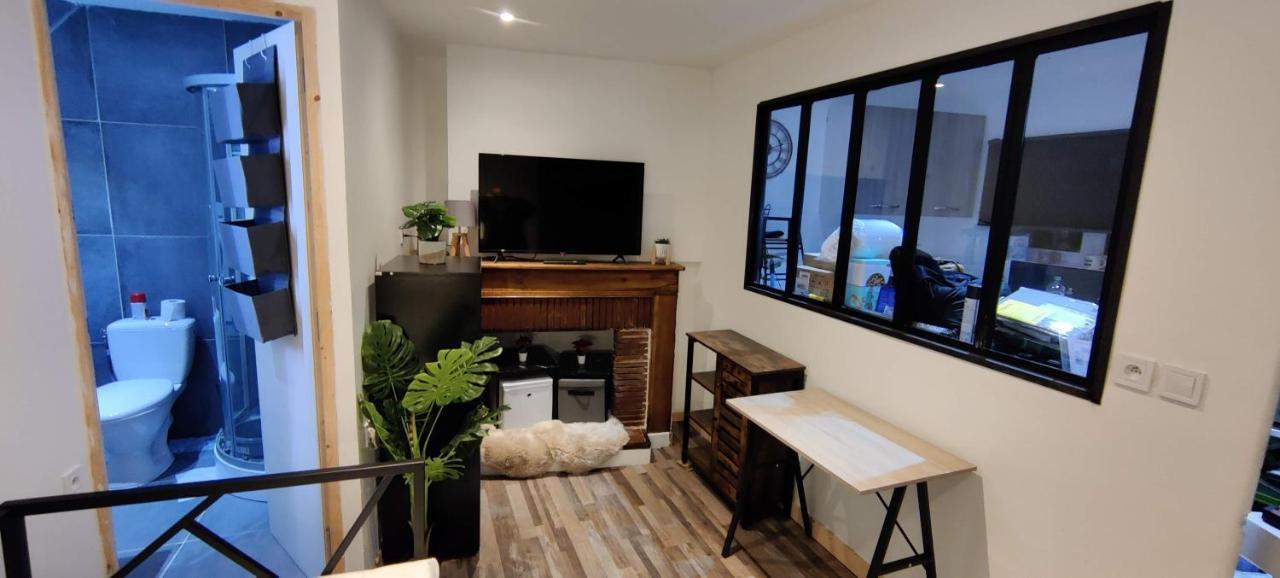 Hebergements Entiers Two Homes T1 Bas Or T1 Haut -Aux Terrasses Du Pech Foix Luaran gambar