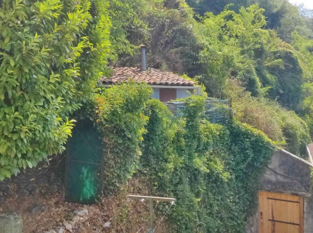 Hebergements Entiers Two Homes T1 Bas Or T1 Haut -Aux Terrasses Du Pech Foix Luaran gambar