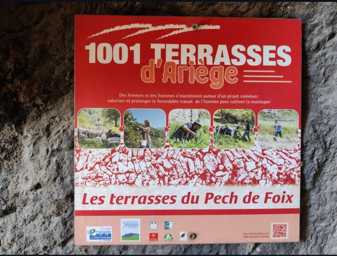 Hebergements Entiers Two Homes T1 Bas Or T1 Haut -Aux Terrasses Du Pech Foix Luaran gambar